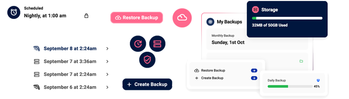 daily backups for wordpress websites